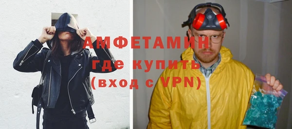 индика Каменка