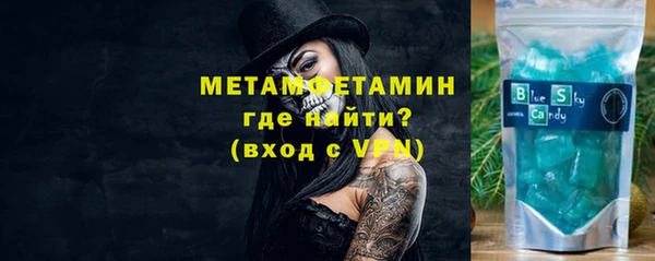 индика Каменка