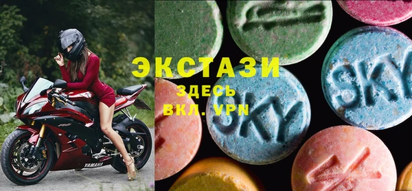 индика Каменка