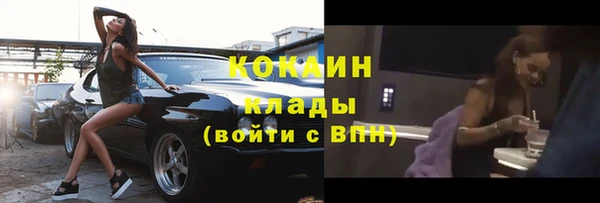 индика Каменка