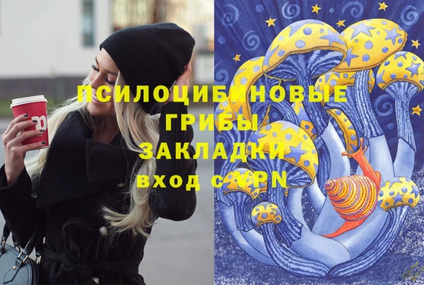 первитин Каменногорск