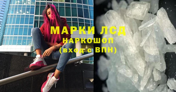 индика Каменка