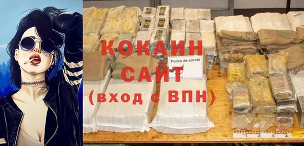 индика Каменка
