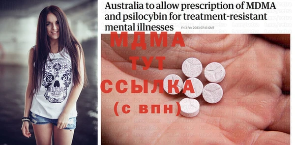 индика Каменка