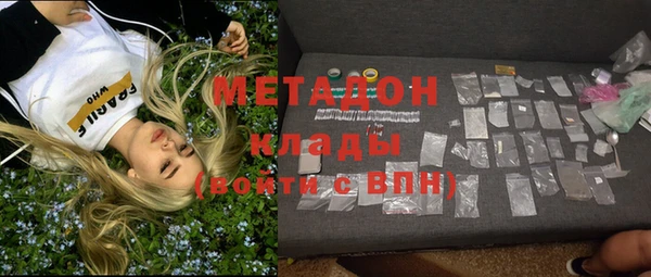 индика Каменка