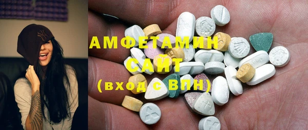 индика Каменка