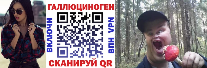Галлюциногенные грибы прущие грибы  дарк нет Telegram  Махачкала  наркота 